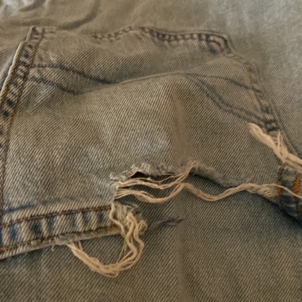 American eagle - Picture 4 of 5